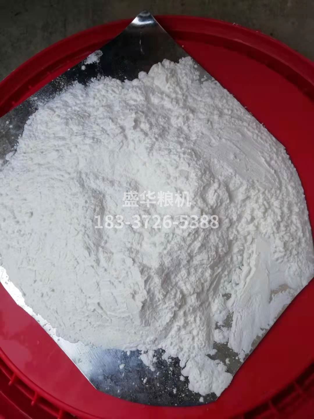 玉米面，玉米顆粒樣品